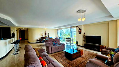 Furnished 3bdrm Apartment in Riverside, Nairobi Central for rent - Image 5