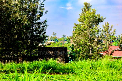 Ruiru - Mugutha 50 by 100 Plots for Sale - Image 1