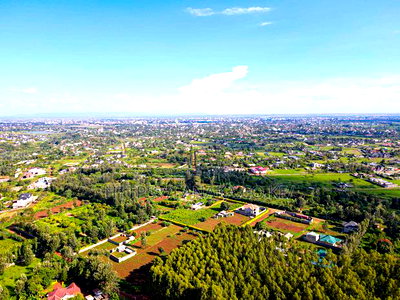 Ruiru - Mugutha 50 by 100 Plots for Sale - Image 3
