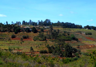 1-Acre Garden Plot in Mua Hills