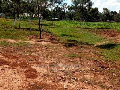 Plots on Tarmac - Image 2