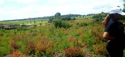 Prime 50 by 100ft Plots for Sale in Kikuyu, Karai - Image 1