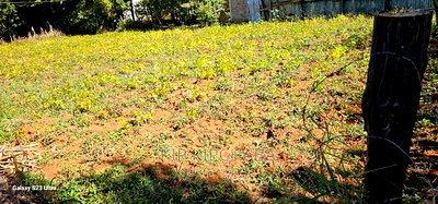 Plot for Sale in Chepkanga Eldoret - Image 4