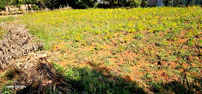 Plot for Sale in Chepkanga Eldoret - Image 2