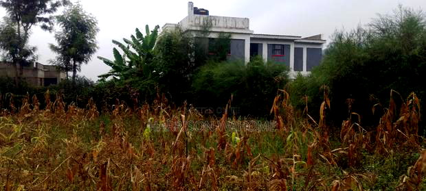 1/8 Acre for Sale in Ngong Lemiso Road