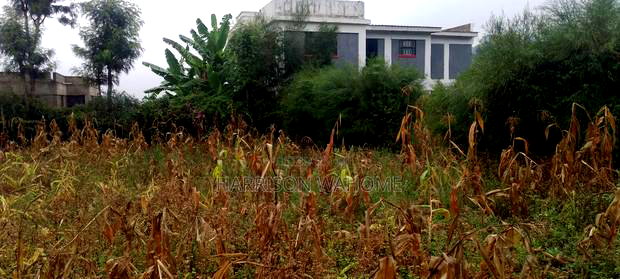 1/8 Acre for Sale in Ngong Lemiso Road