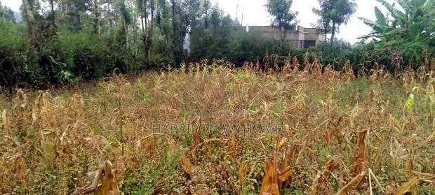 1/8 Acre for Sale in Ngong Lemiso Road