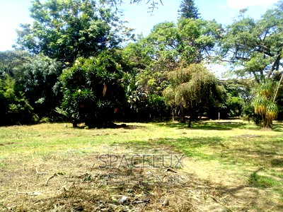 5 Acres at 300m Per Acres Off Ngong Rd - Image 3