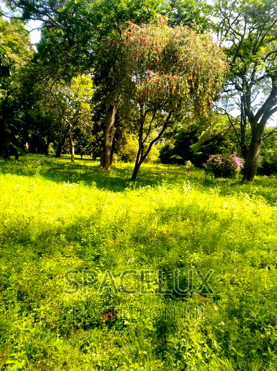 5 Acres at 300m Per Acres Off Ngong Rd - Image 5