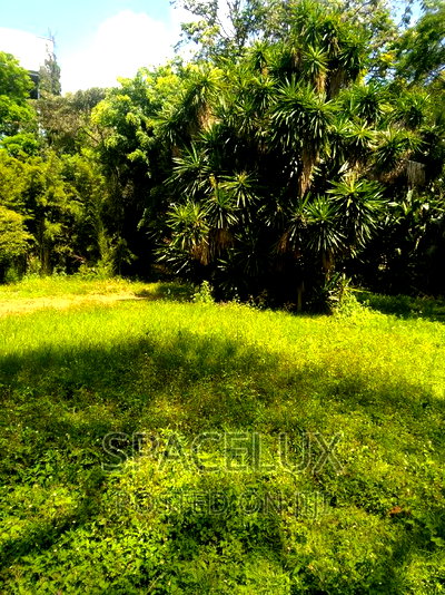 5 Acres at 300m Per Acres Off Ngong Rd - Image 8