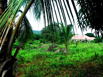 Land for Sale in Kilifi - Bomani - Image 4