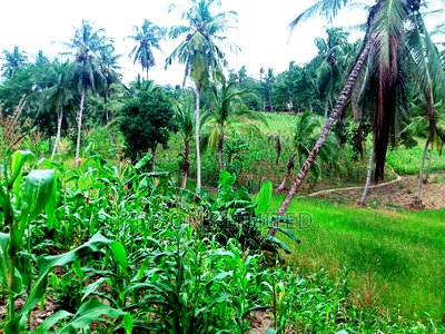 Land for Sale in Kilifi - Bomani - Image 1