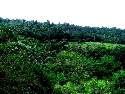 Land for Sale in Kilifi - Bomani - Image 2