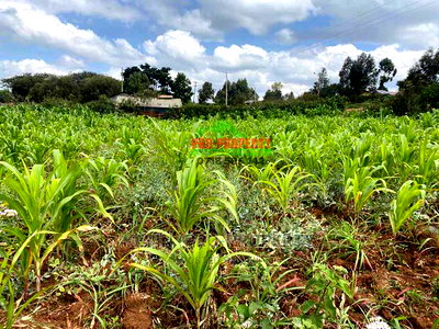 Plot for Sale on Tarmac in Kikuyu, Thigio. - Image 7