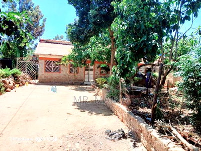 3bdrm Bungalow in Njiru for sale - Image 5