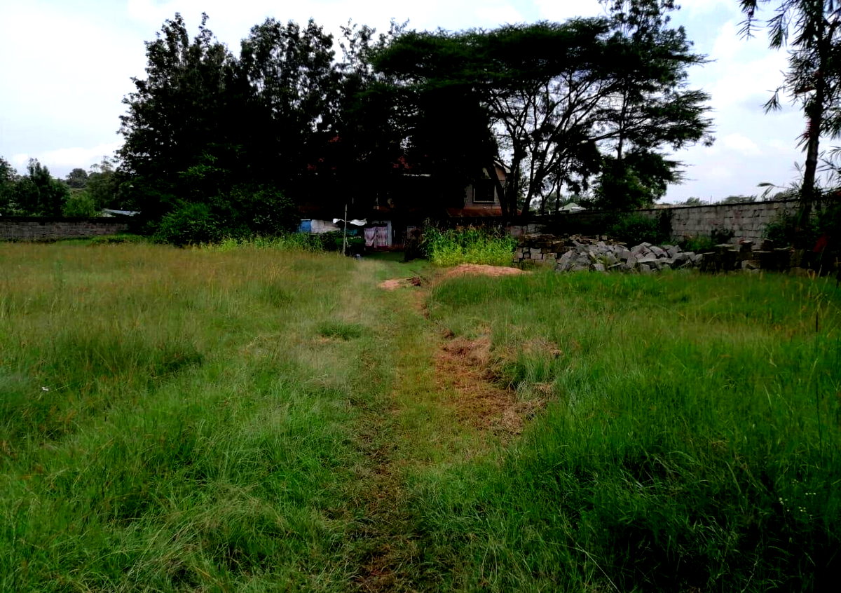 Half Acre Karen Plot at KSh 45M