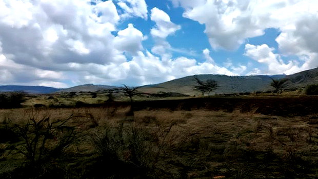 50 by 100 1 8 Acre Plot 50x100 Acre Plot for Sale in Utawala