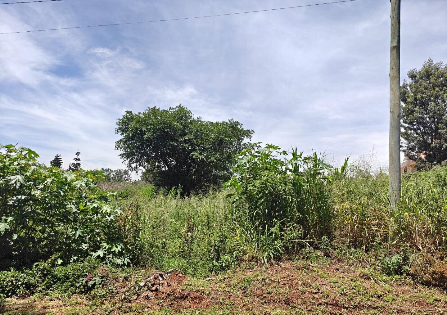 Half Acre Garden Plot with Parking at KSh 45M
