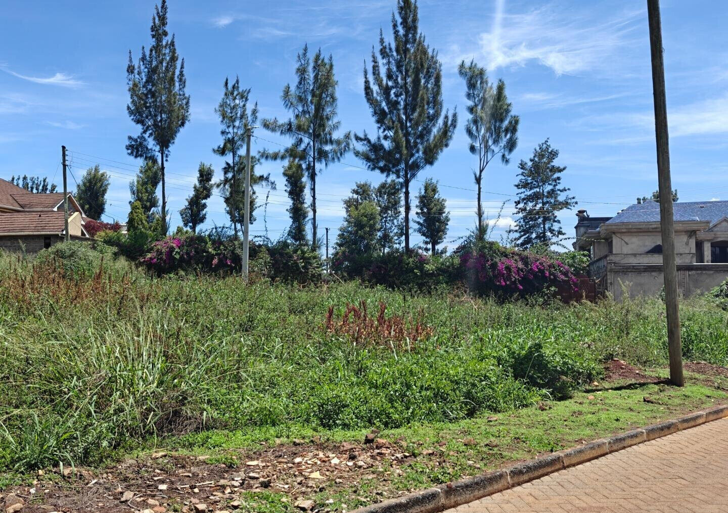 Half Acre Garden Plot with Parking at KSh 45M