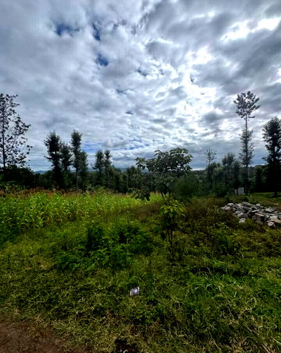 Half Acre Plot for KSh 11M in Ol Keri