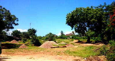 1-Acre Garden Plot in Malindi