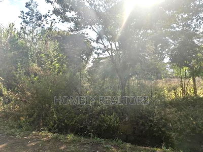 Half Acre Plot Is on Sale in Karen, Nairobi Within a Gated Community - Image 4