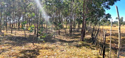 Prime 1 Acre for Sale in Sogomo Opposite Dl Farm in Eldoret - Image 9