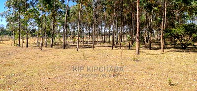 Prime 1 Acre for Sale in Sogomo Opposite Dl Farm in Eldoret - Image 1