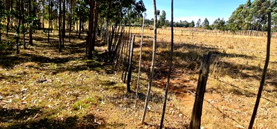 Prime 1 Acre for Sale in Sogomo Opposite Dl Farm in Eldoret - Image 4