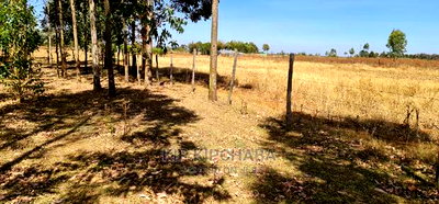 Prime 1 Acre for Sale in Sogomo Opposite Dl Farm in Eldoret - Image 2