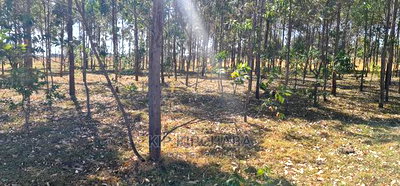 Prime 1 Acre for Sale in Sogomo Opposite Dl Farm in Eldoret - Image 5