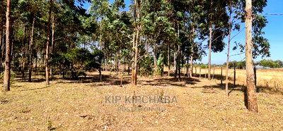 Prime 1 Acre for Sale in Sogomo Opposite Dl Farm in Eldoret - Image 3
