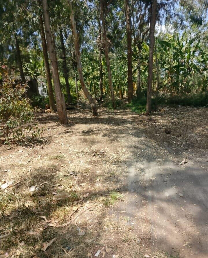 Quarter Acre Haven at KSh 70K