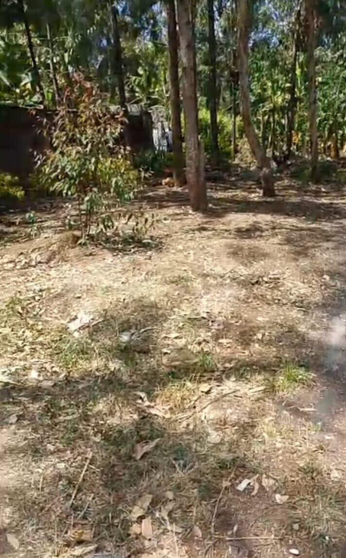 Quarter Acre Haven at KSh 70K
