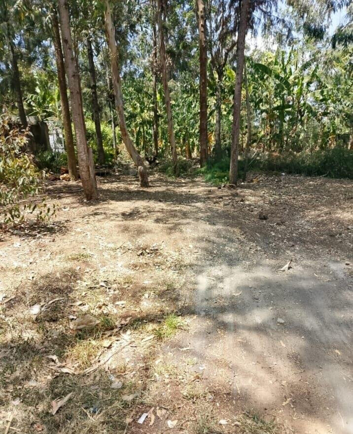 Quarter Acre Haven at KSh 70K