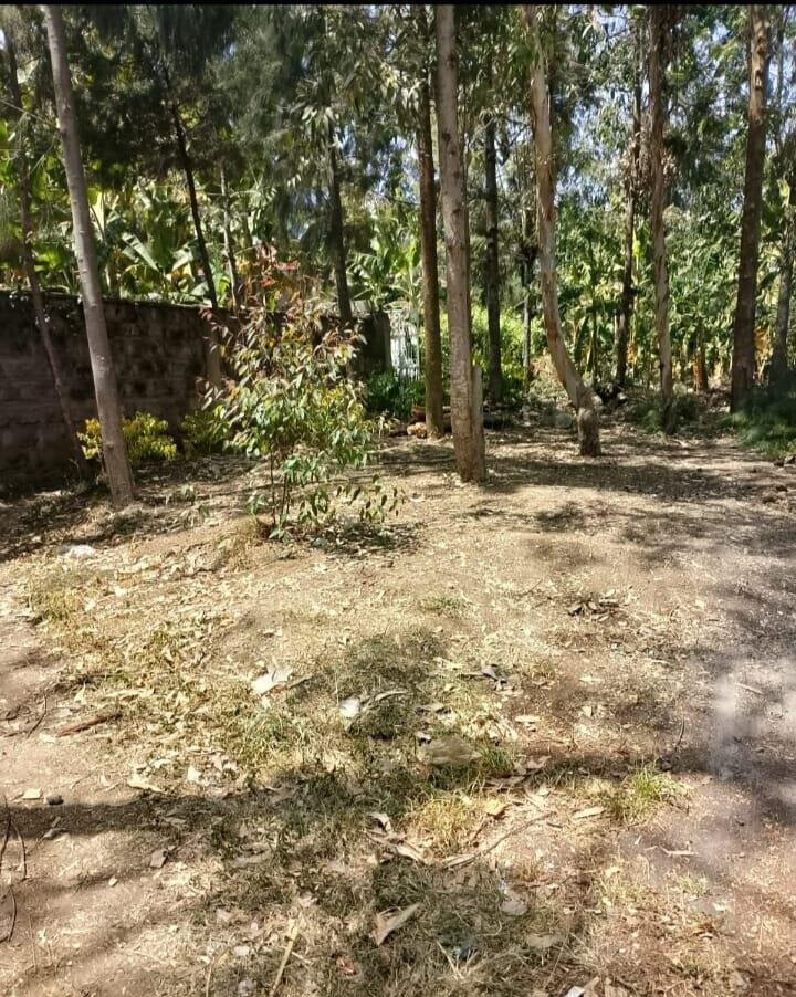Quarter Acre Haven at KSh 70K