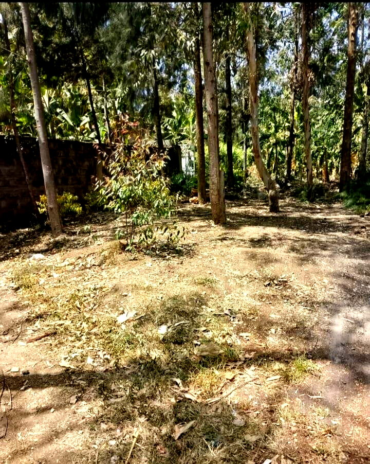 Quarter Acre Haven at KSh 70K