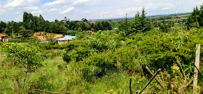 3 Plots Gor Sale In Mountsinview Kipkorgot In Eldoret - Image 9