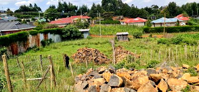 3 Plots Gor Sale In Mountsinview Kipkorgot In Eldoret - Image 6