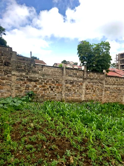Quarter Acre Commercial Ngong Town - Image 3