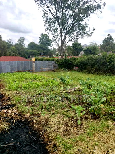 Quarter Acre Commercial Ngong Town - Image 5