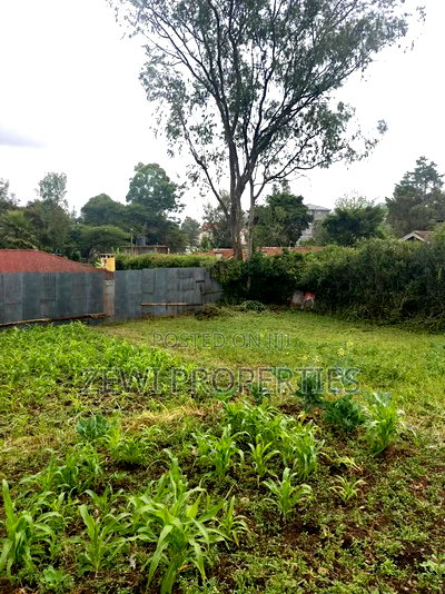 Quarter Acre Commercial Ngong Town - Image 1
