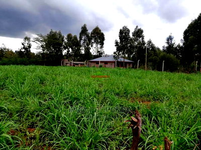 Great Plots in Kikuyu, Lusingetti for Sale - Image 4