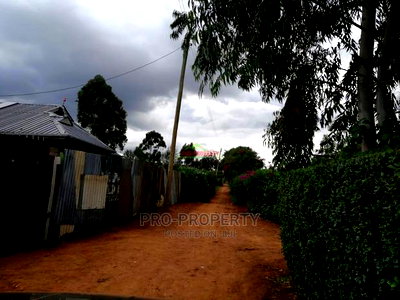 Great Plots in Kikuyu, Lusingetti for Sale - Image 3
