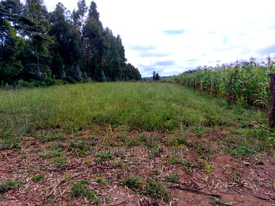Prime 50x100 Plots - Image 2