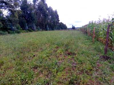 Prime 50x100 Plots - Image 3