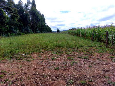 Prime 50x100 Plots - Image 1