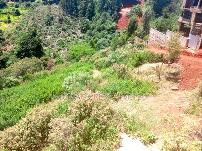 Plots for Sale in Banana, - Image 3