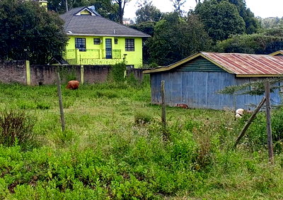 3-Acre Garden Plot at KSh 45M
