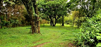 Prime 5 Acres Land for Sale in Kapseret Eldoret - Image 13